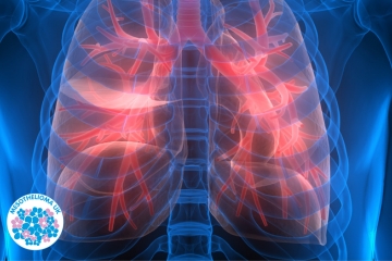 MESO webinar Preview Image .png